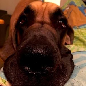 Meet your Posher, NientyNinetyOne